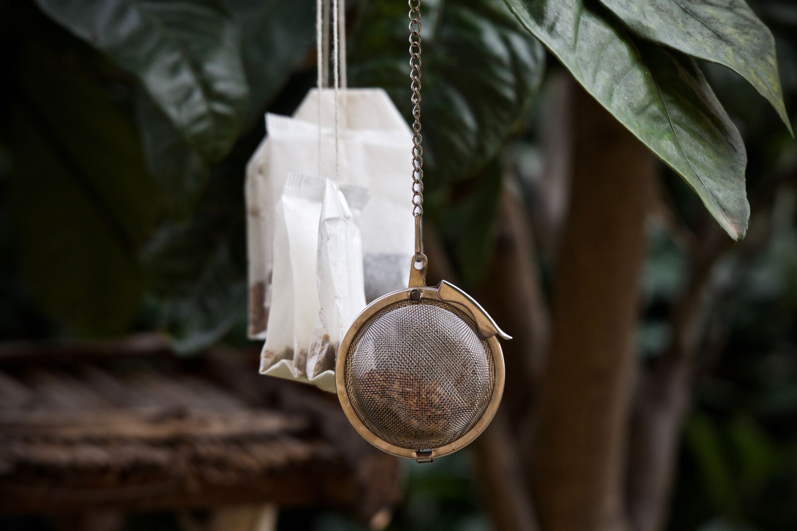 Canon EOS M sample photo. Tea bags, herbal tea photography