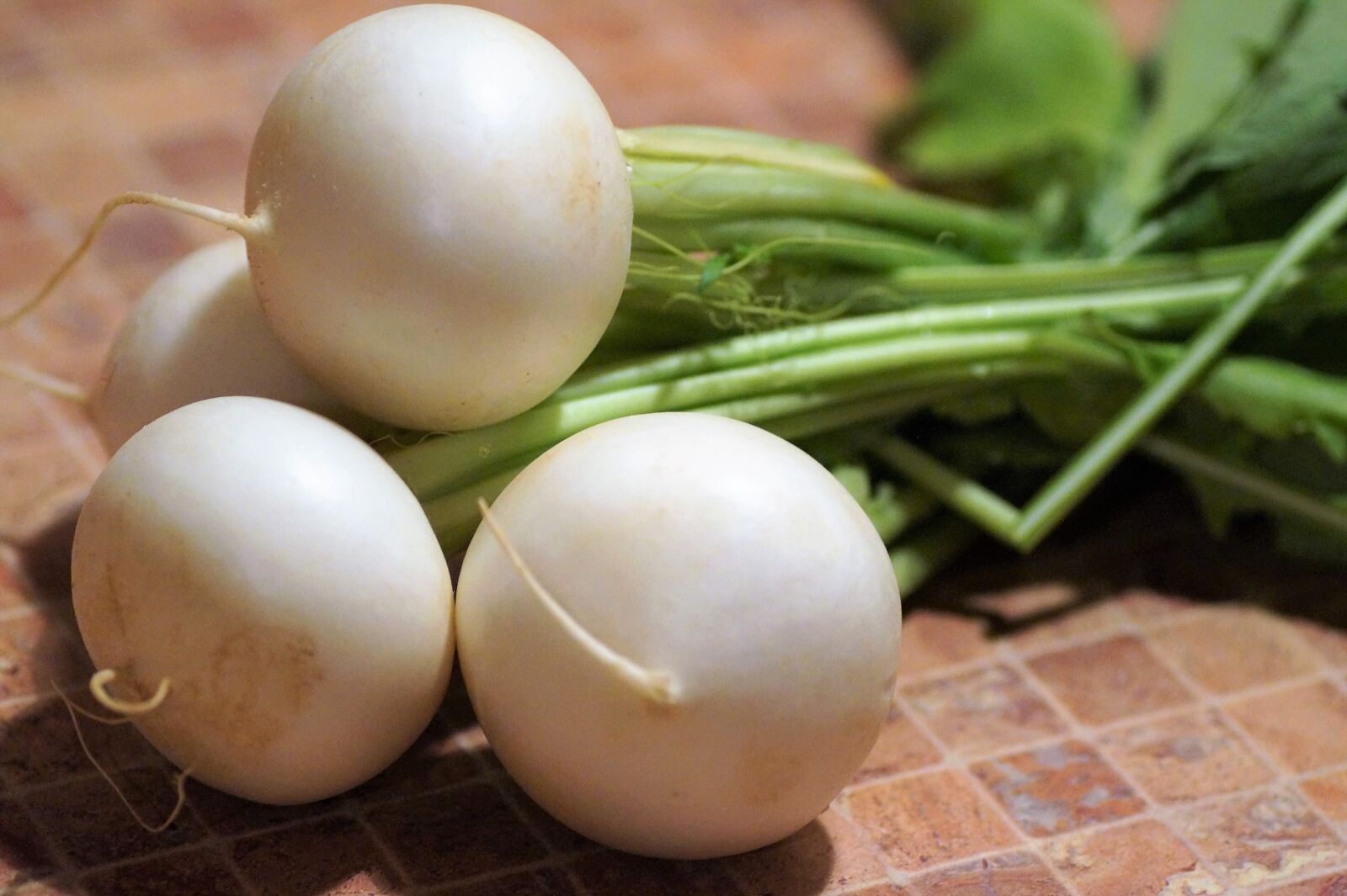 Sony SLT-A58 sample photo. White, radish, turnip photography