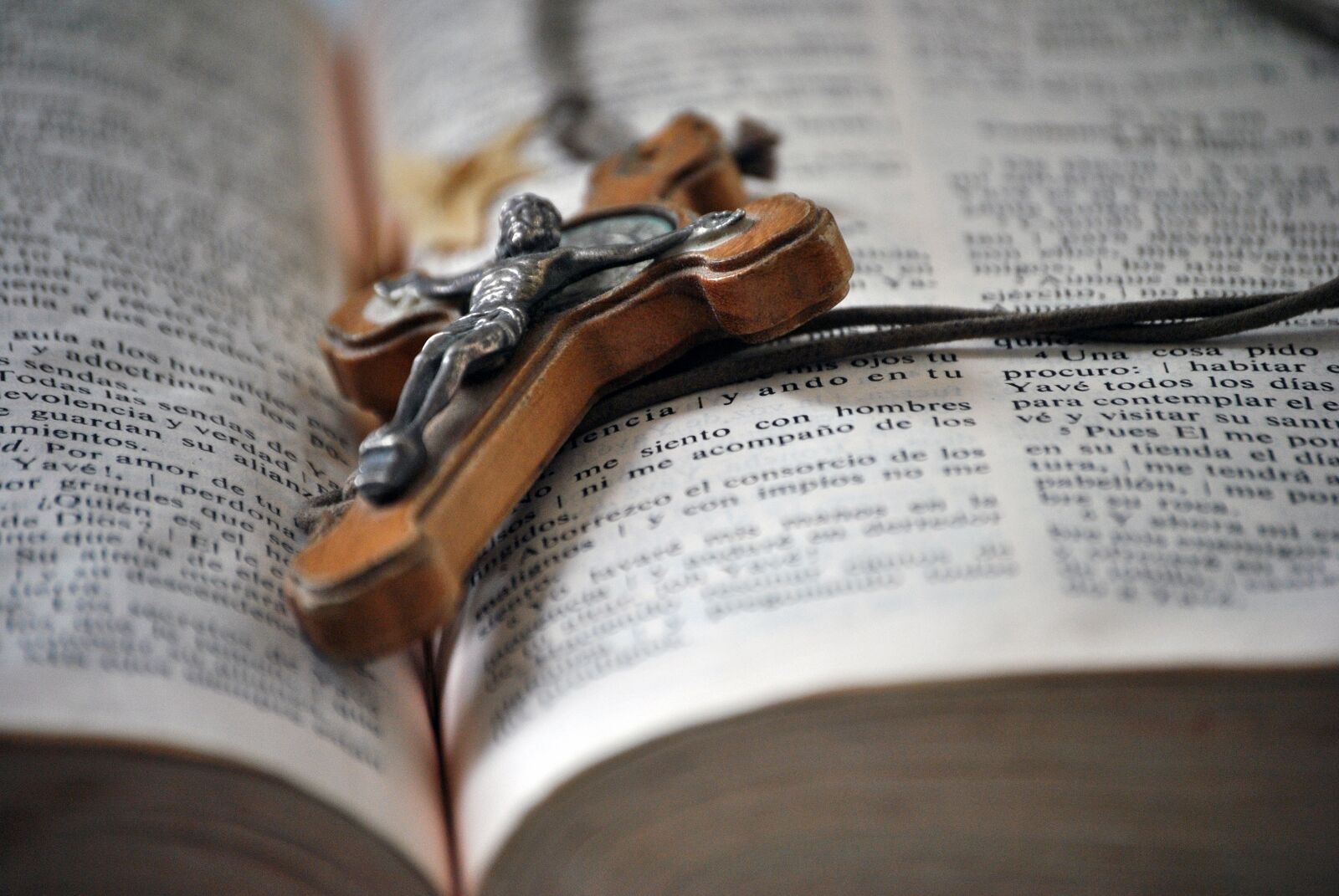 Nikon D3000 sample photo. Scripture, holy, testament photography