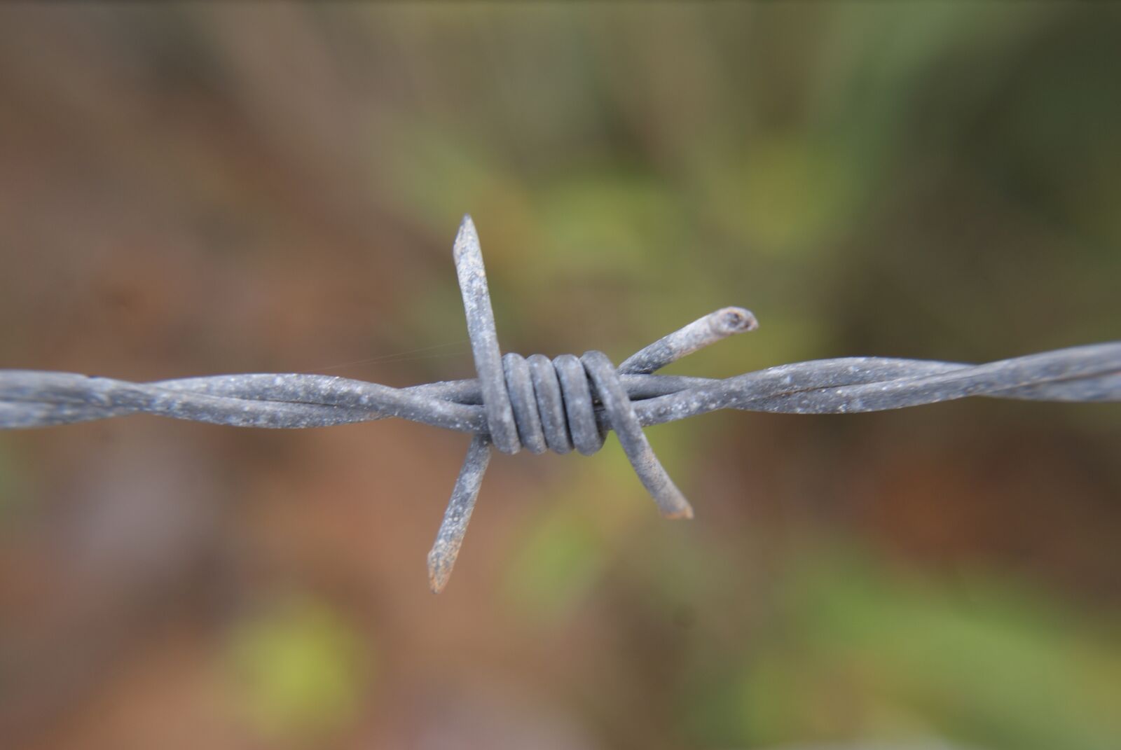 Sony Alpha DSLR-A200 sample photo. Wire, barbed, metal photography