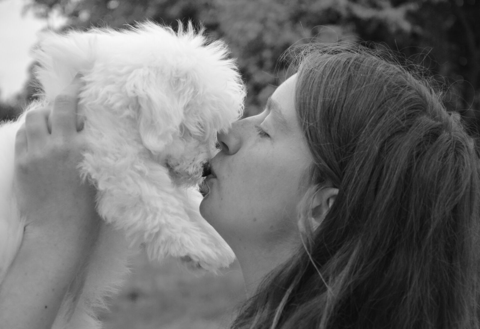 Nikon D5200 sample photo. Kiss, kisses, dog photography