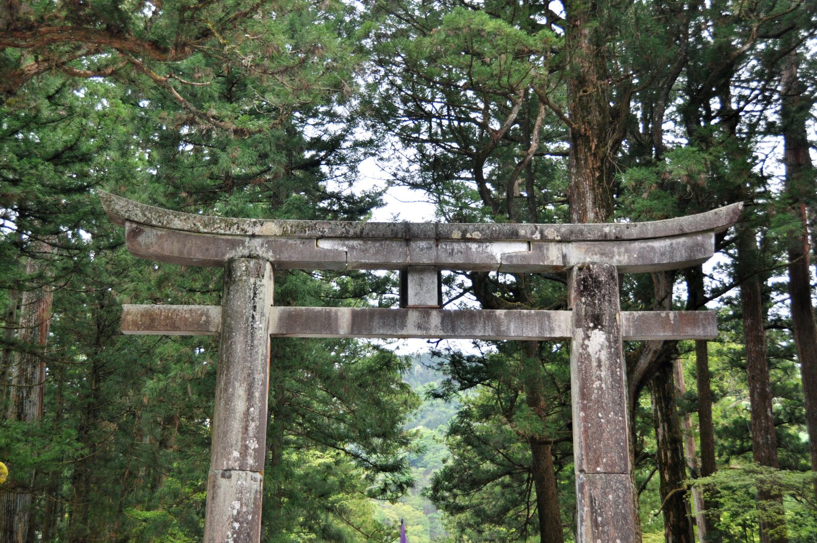 Nikon D90 sample photo. Niko, japan, forest photography