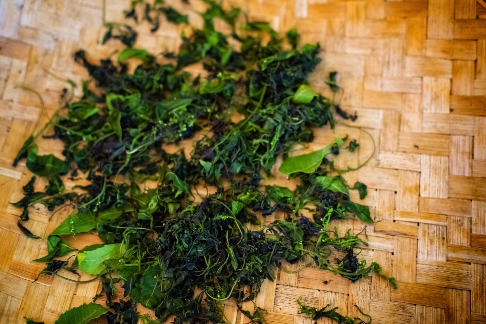 Nikon D3400 sample photo. Neem leaves, leaves, vegetation photography