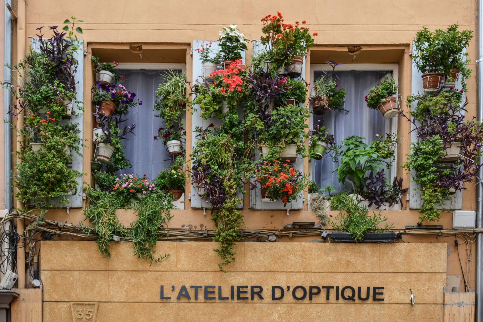 Nikon D7100 sample photo. Windows, flowers, house photography