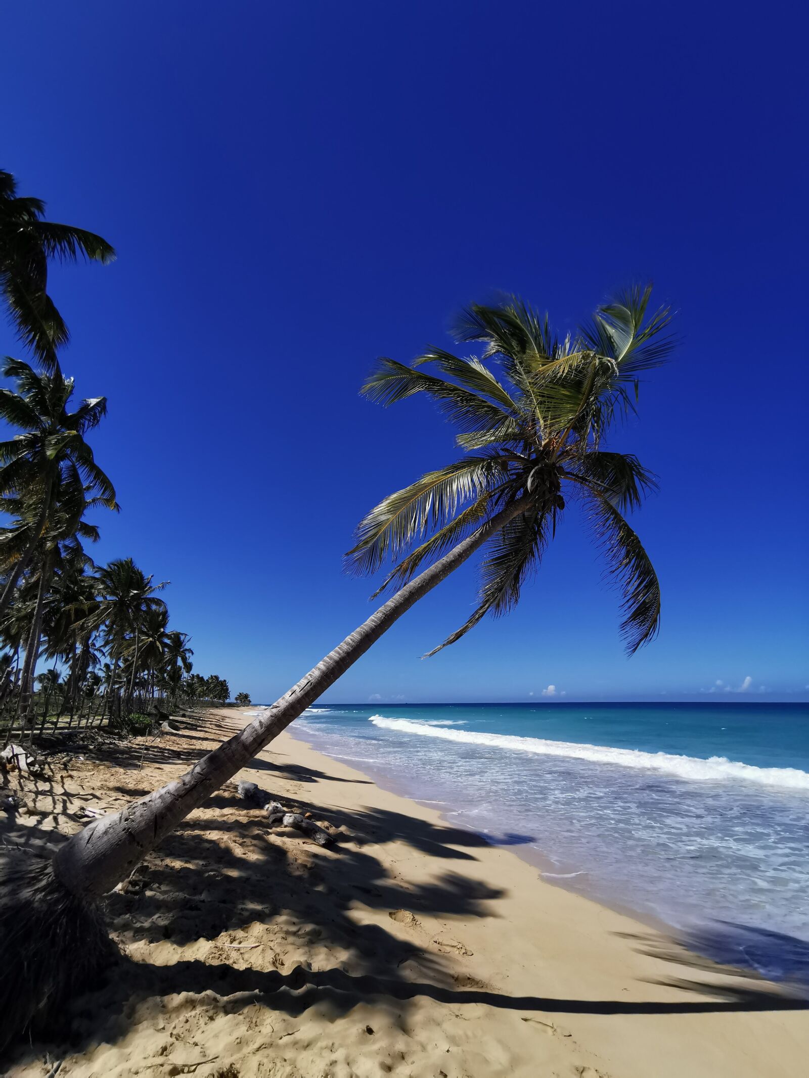 HUAWEI P30 Pro sample photo. Dominicanrepublic, republicadominicana, dominikana photography
