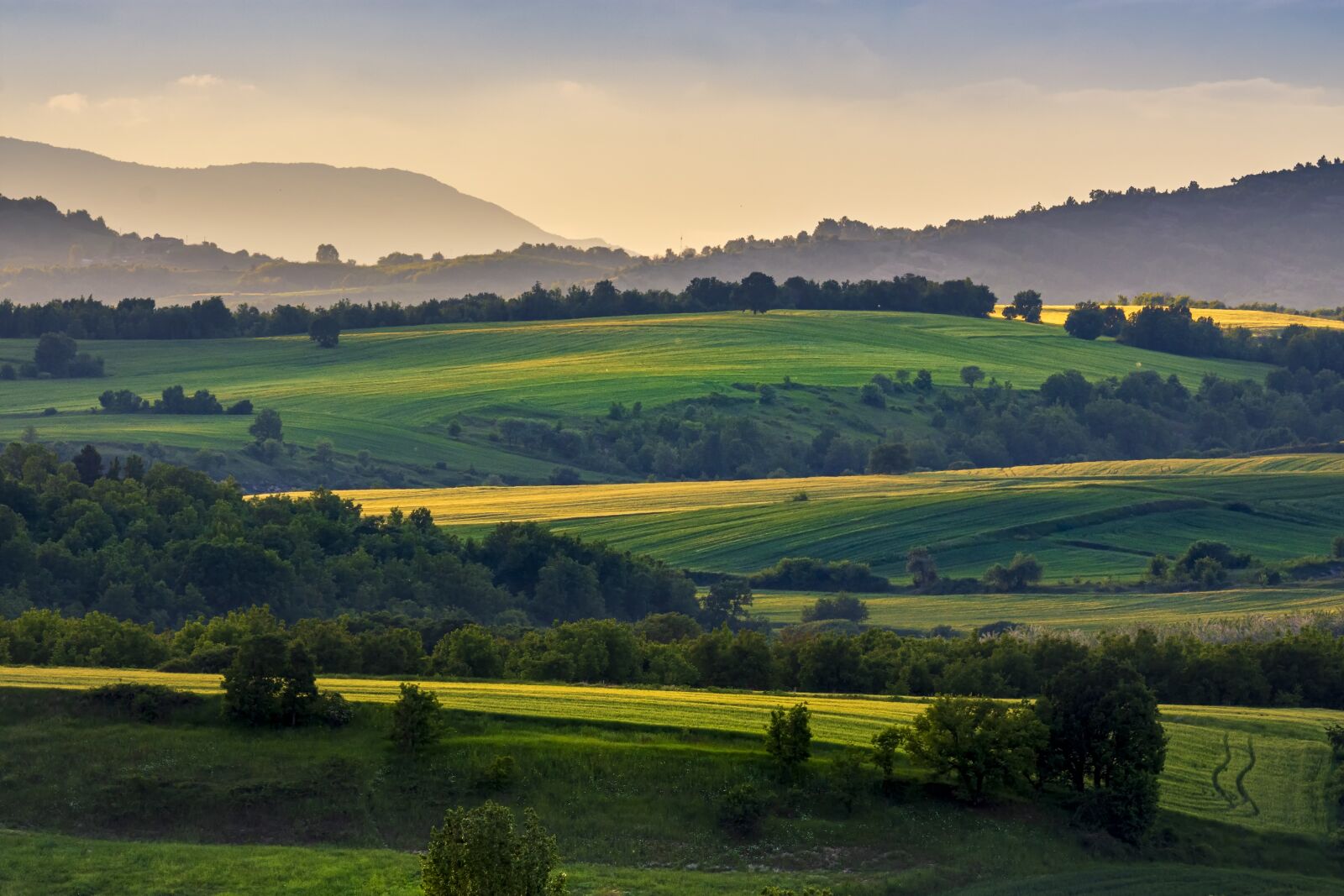 Nikon D7200 sample photo. Hills, fields, landscape photography