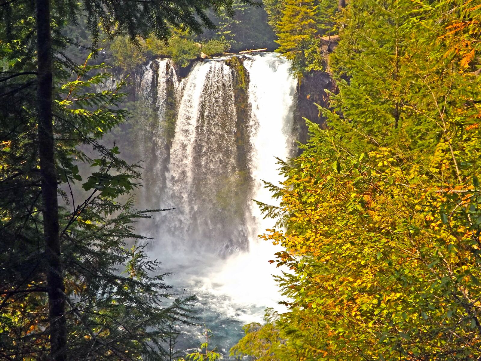 Fujifilm FinePix S4500 sample photo. Waterfalls, mckenzie river, oregon photography