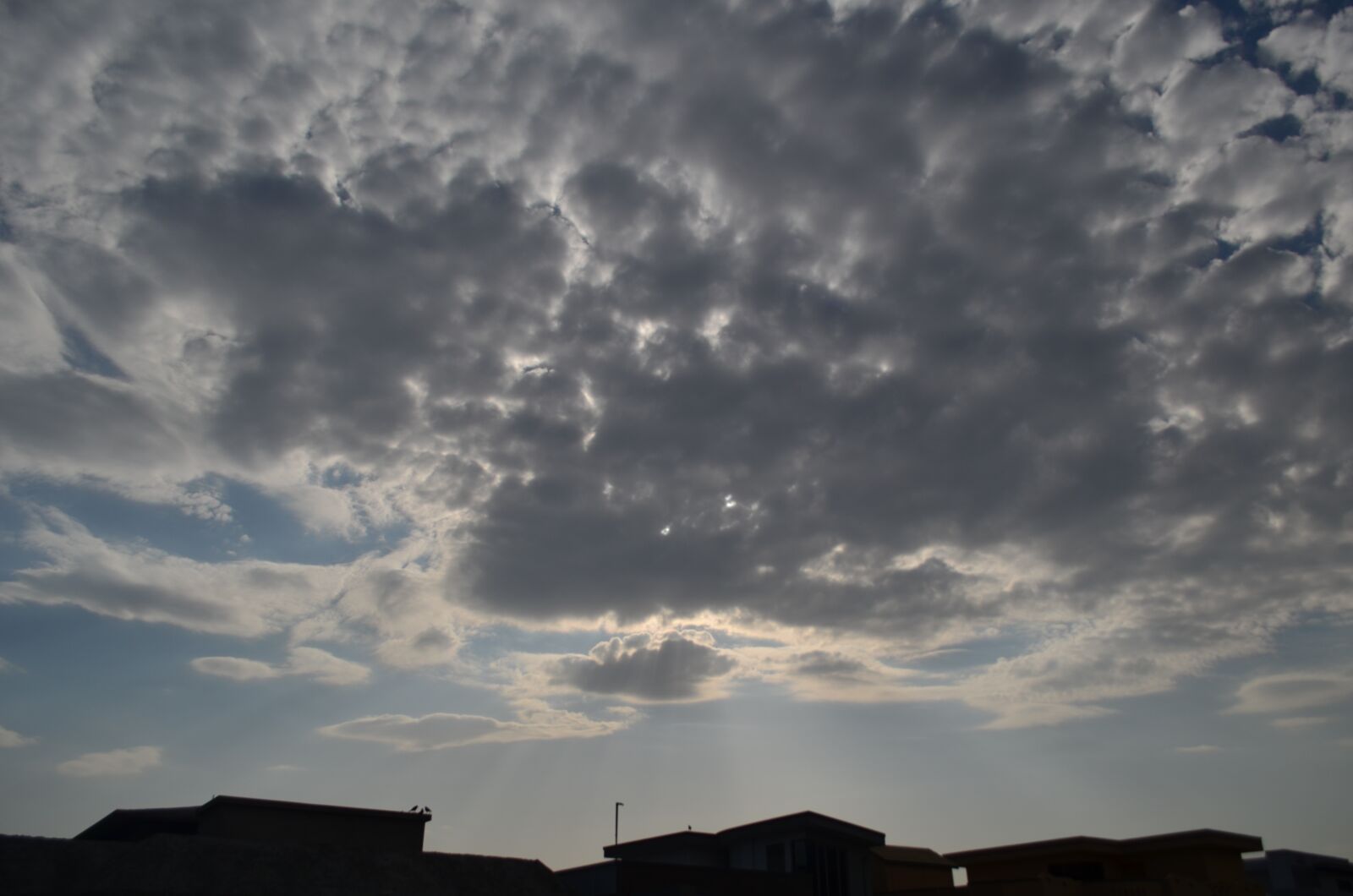Nikon D5100 sample photo. People, nature, landscape photography