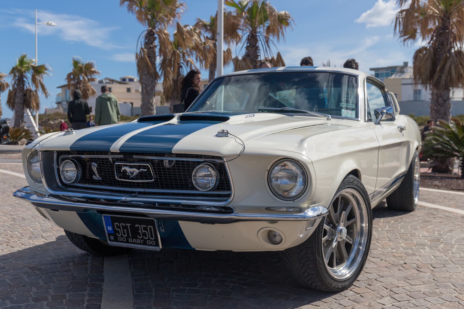 Canon EOS 6D Mark II + Canon EF 24-70mm F4L IS USM sample photo. Mustang, malta, cars photography