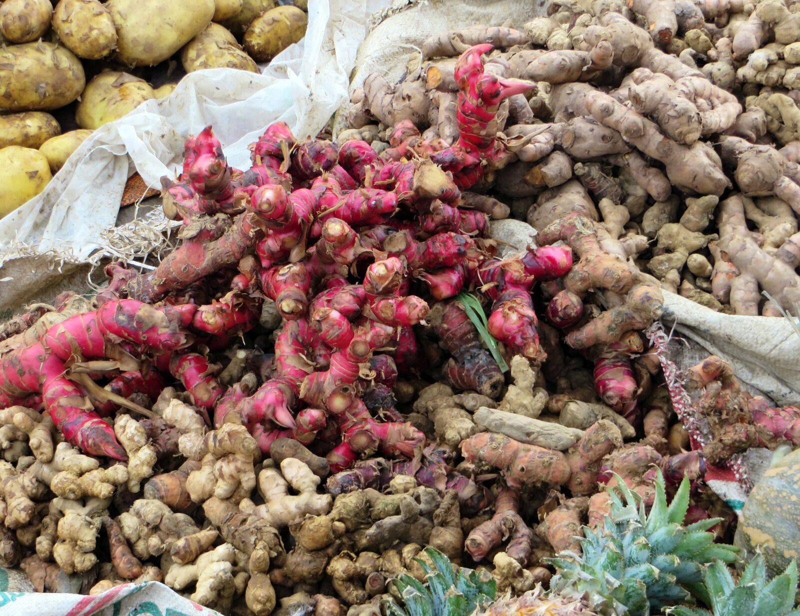 Canon PowerShot SX270 HS sample photo. Viet nam, spices, red photography