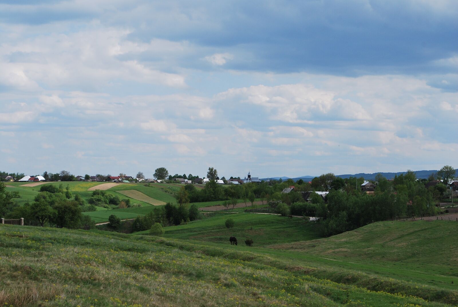Nikon D60 sample photo. Landscape, spring, bucovina photography