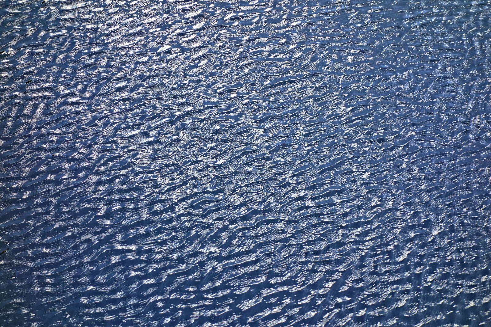 Sony Cyber-shot DSC-RX100 sample photo. Water, ripple, wave photography