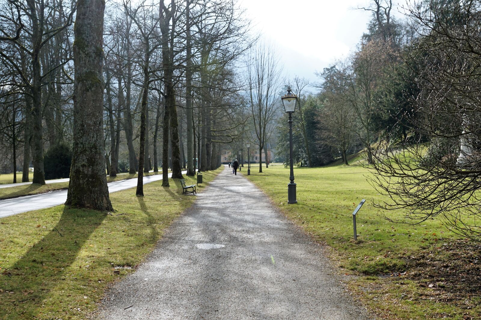 Sony ILCA-77M2 + Sony DT 16-50mm F2.8 SSM sample photo. Baden baden, park, nature photography