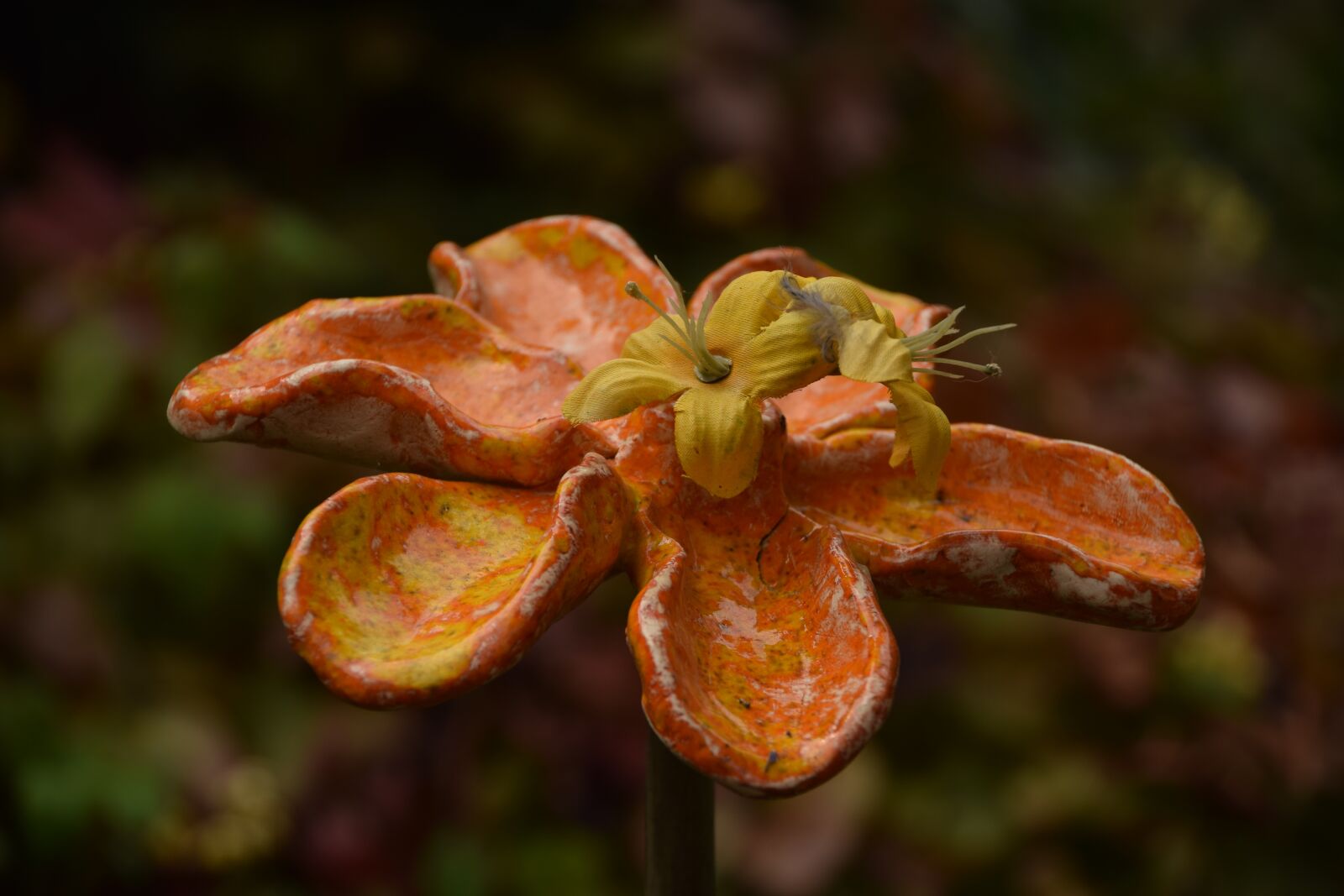 Nikon D3300 sample photo. Flower, work of art photography
