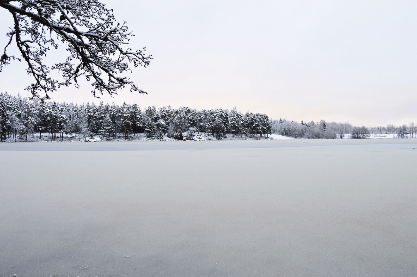 Nikon D3200 sample photo. Winter, snow, cold photography