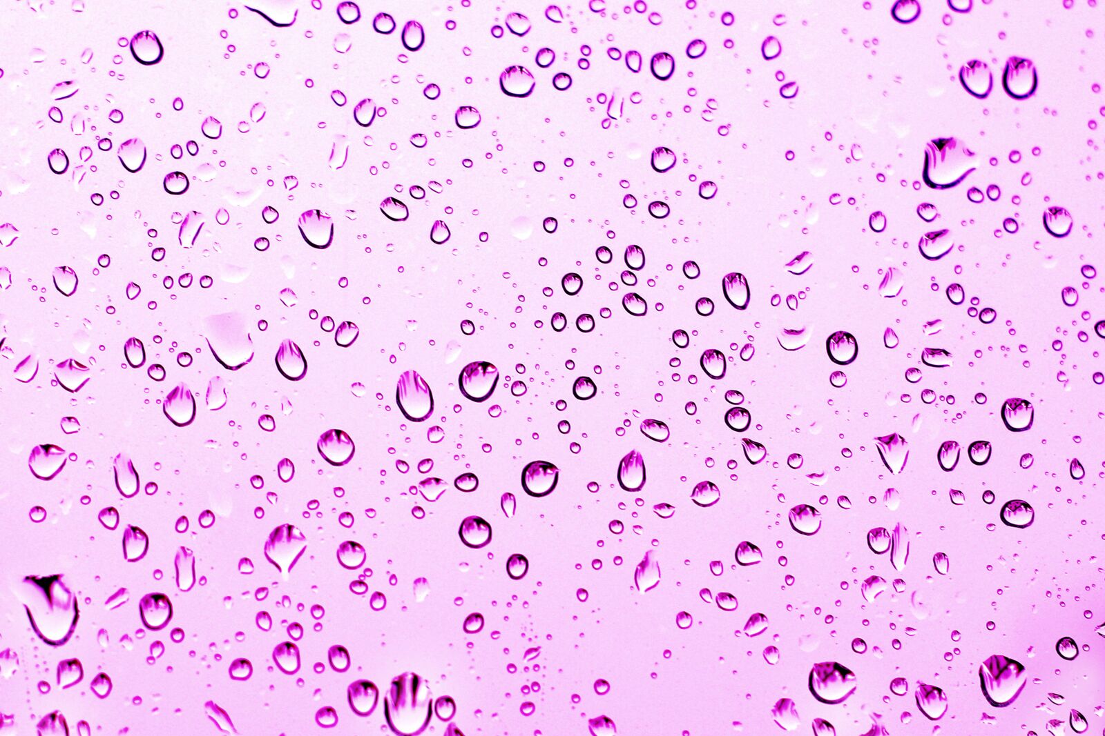 Canon EOS 77D (EOS 9000D / EOS 770D) sample photo. Rain, drip, rainy photography