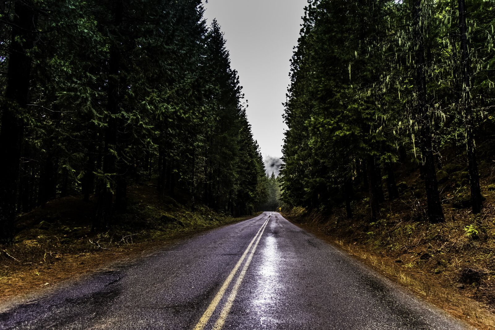 Nikon D810 sample photo. Leading lines, road, travel photography