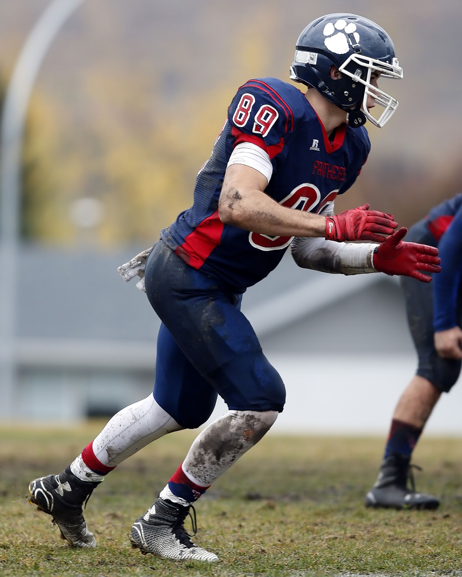 Canon EOS 70D + Canon EF 300mm F2.8L IS USM sample photo. American football player, defender photography