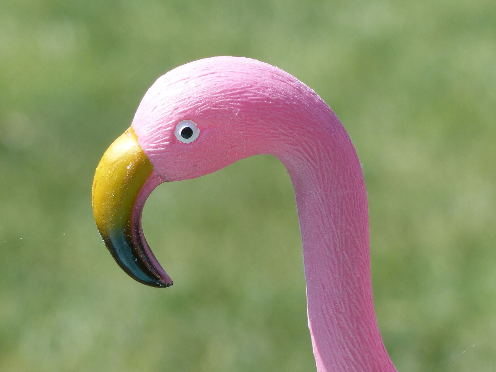 Panasonic Lumix DMC-FZ200 sample photo. Bird, flamingo, plastic photography