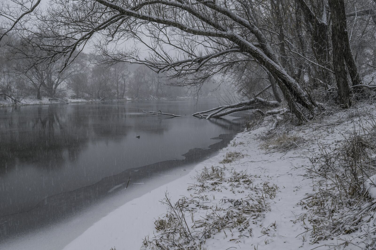 Nikon D3300 sample photo. Winter, snowfall, january photography
