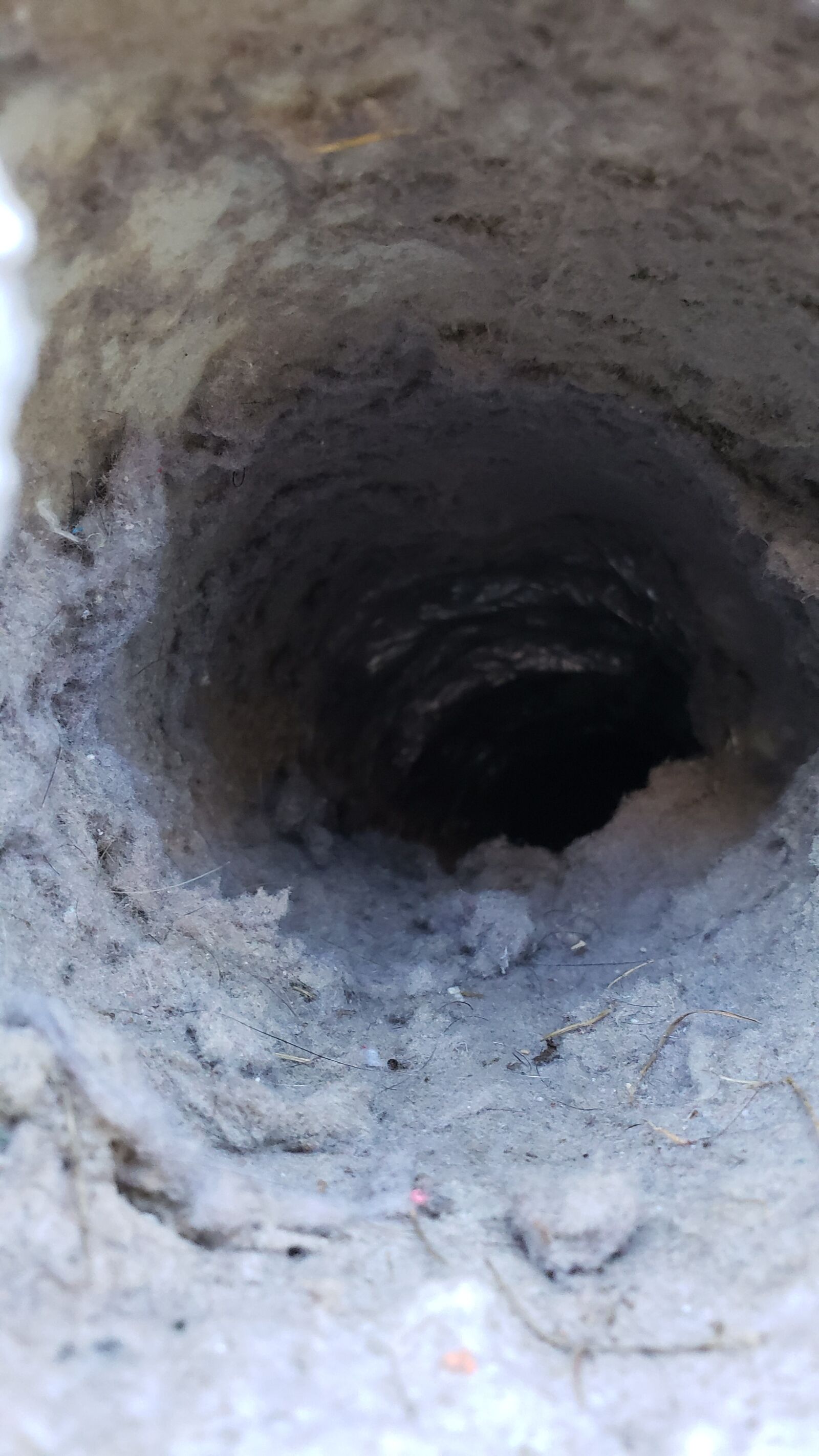 Samsung Galaxy Note9 sample photo. Dryer, vent, outside wall photography