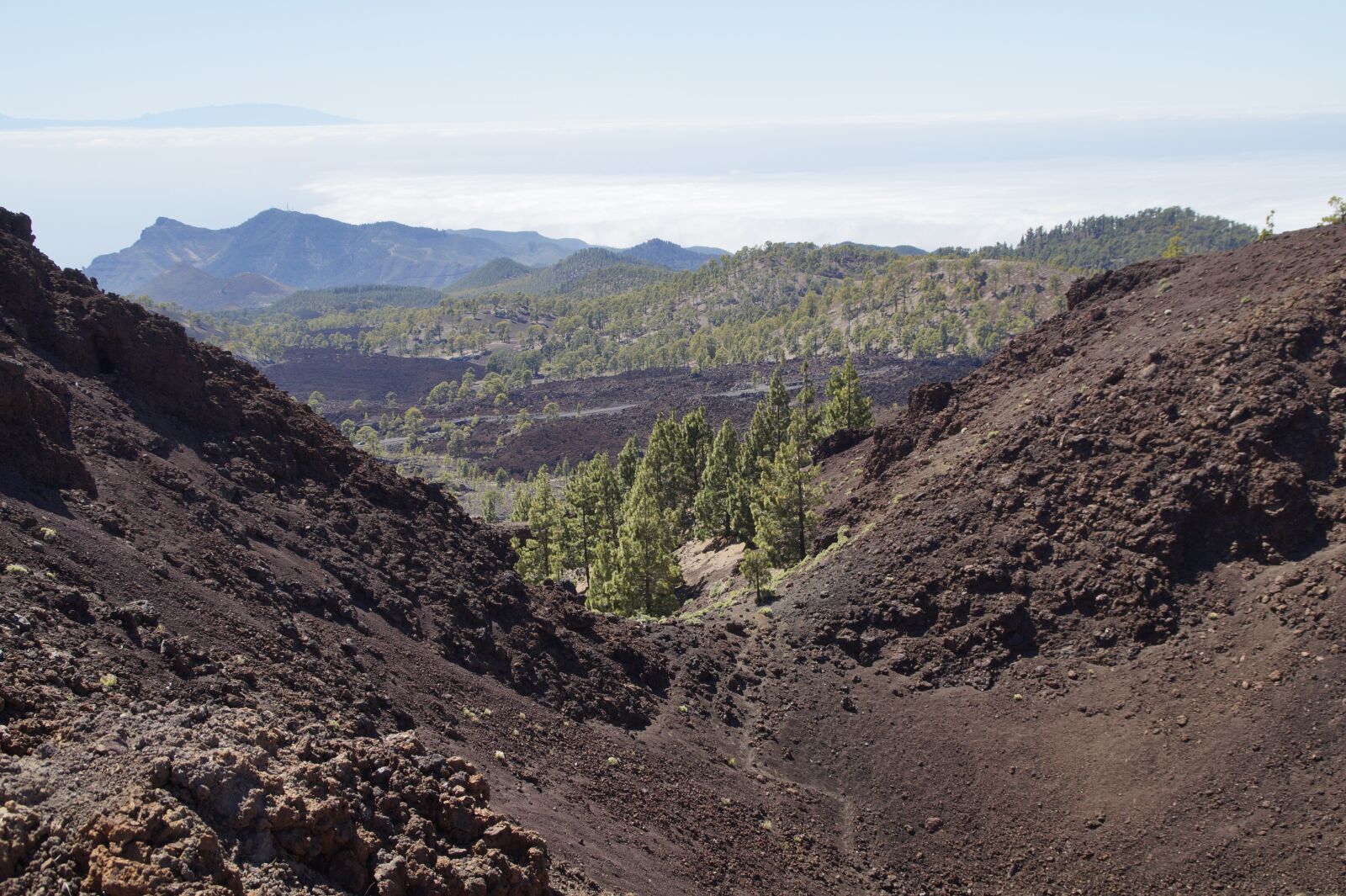 Sony SLT-A58 sample photo. Teide national park, national photography