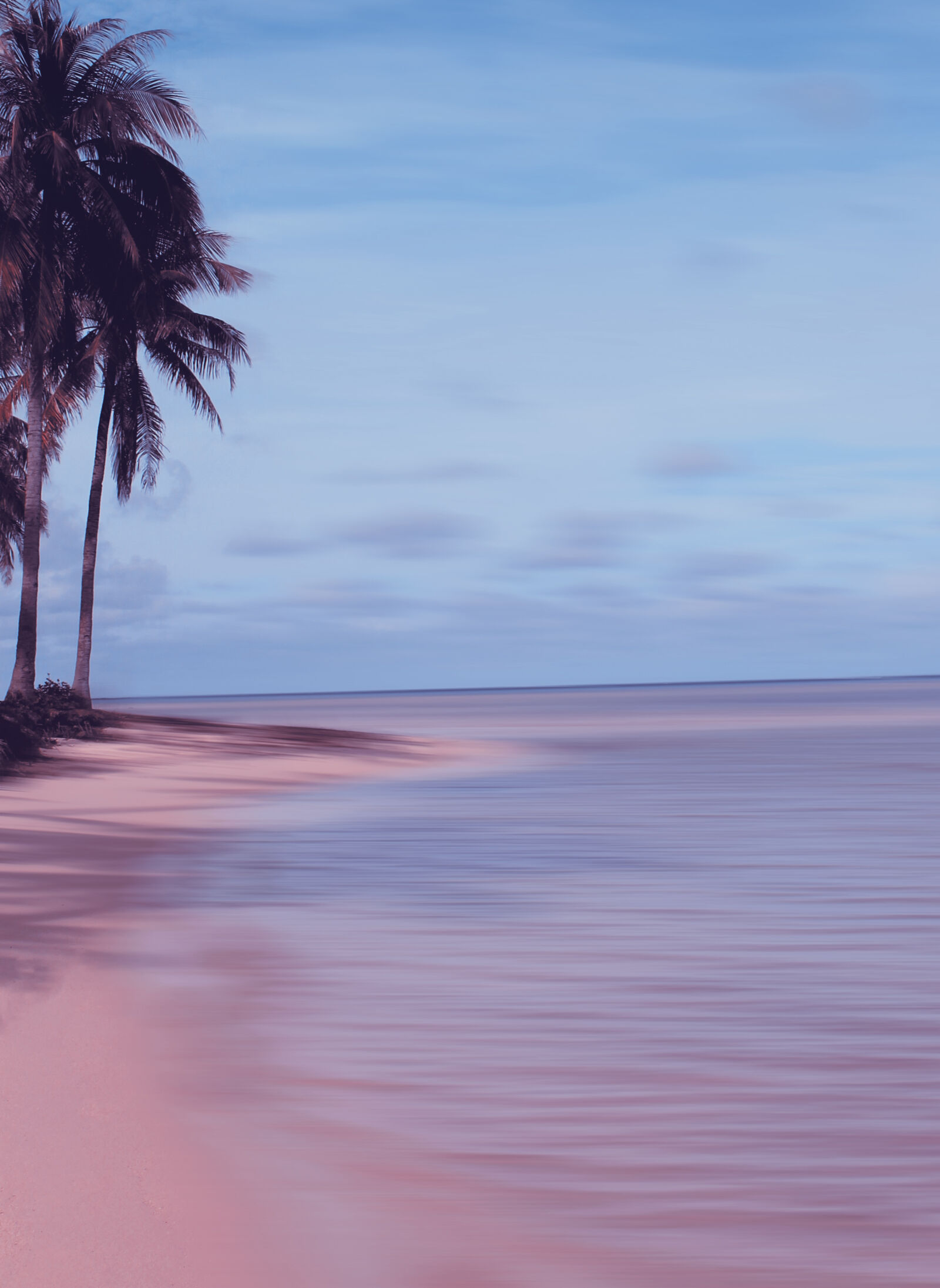 Canon EOS 1100D (EOS Rebel T3 / EOS Kiss X50) sample photo. Beach, coconut, tree photography