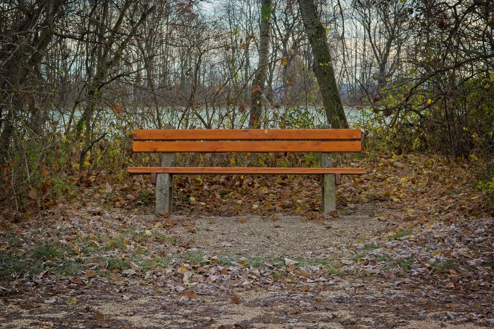 Nikon D7100 sample photo. Bench, seat, autumn photography