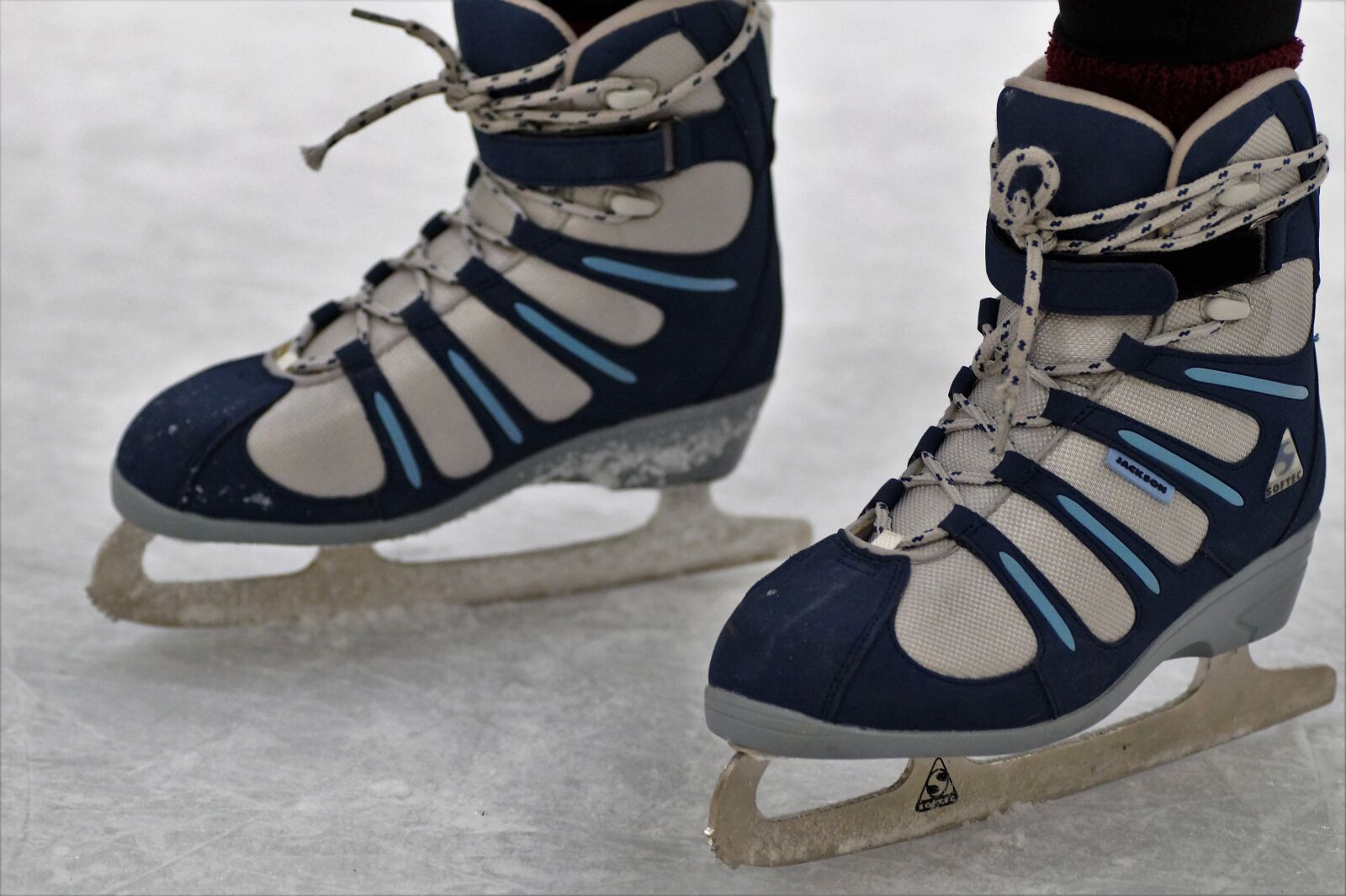 Sony SLT-A58 sample photo. Skates, polar area, the photography