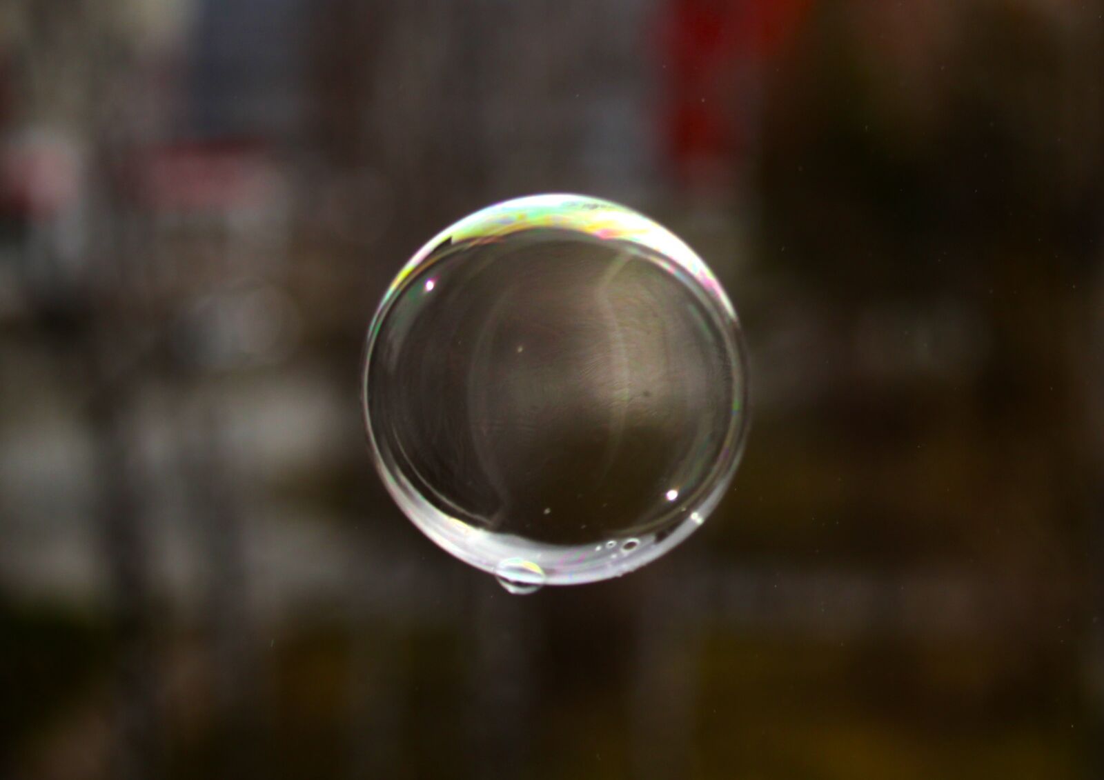 Canon EOS 1200D (EOS Rebel T5 / EOS Kiss X70 / EOS Hi) sample photo. Soap bubbles, circle, soap photography