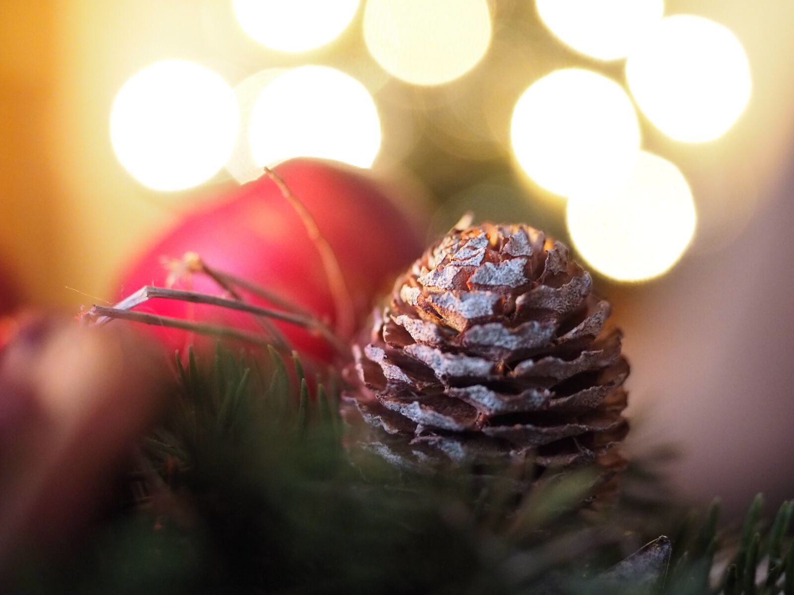 Olympus OM-D E-M1 + Olympus M.Zuiko Digital ED 12-40mm F2.8 Pro sample photo. Christmas, x mas, xmas photography