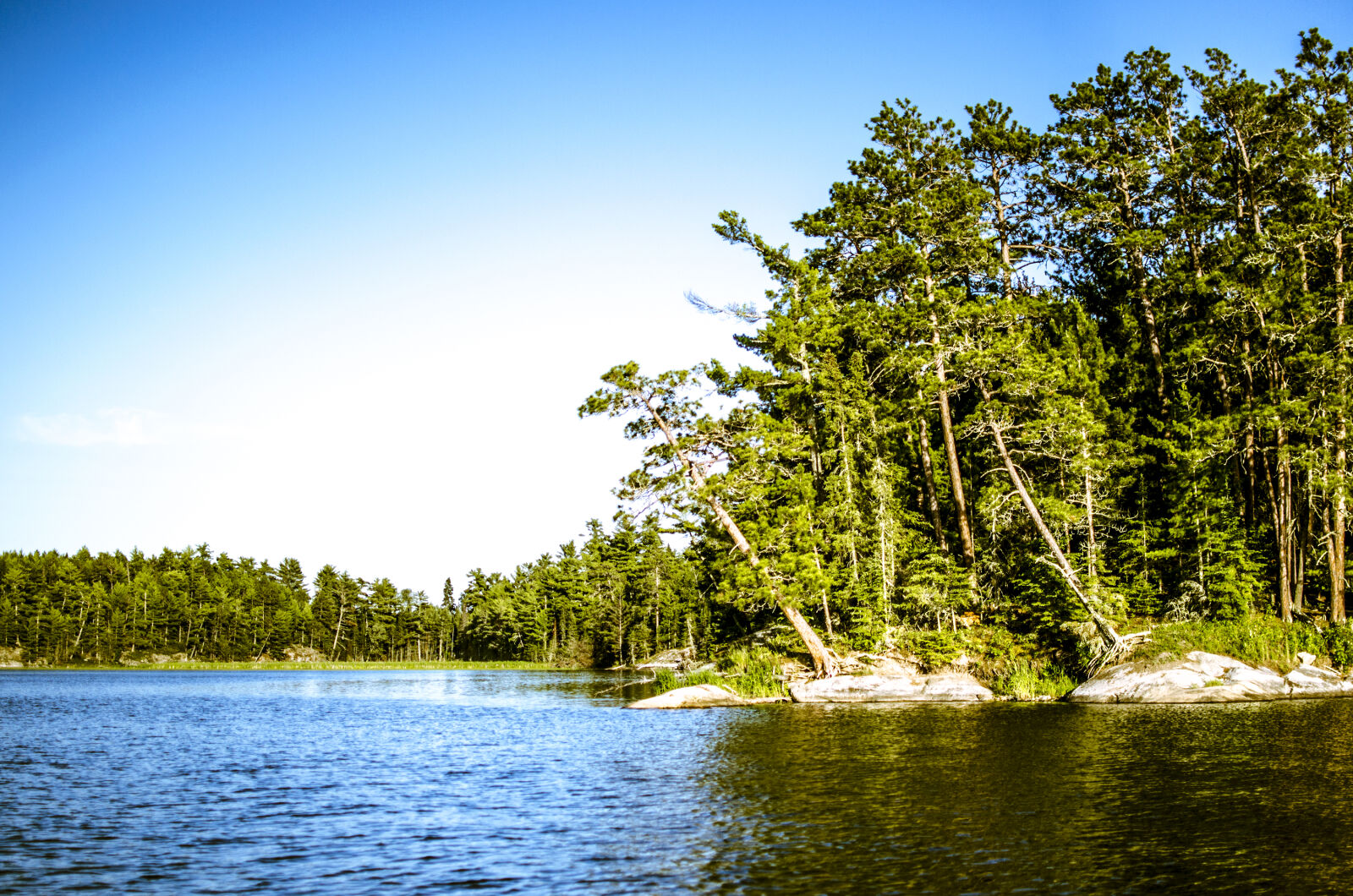 Nikon D5100 + Nikon AF-S DX Nikkor 35mm F1.8G sample photo. Landscape, nature, pexels photography