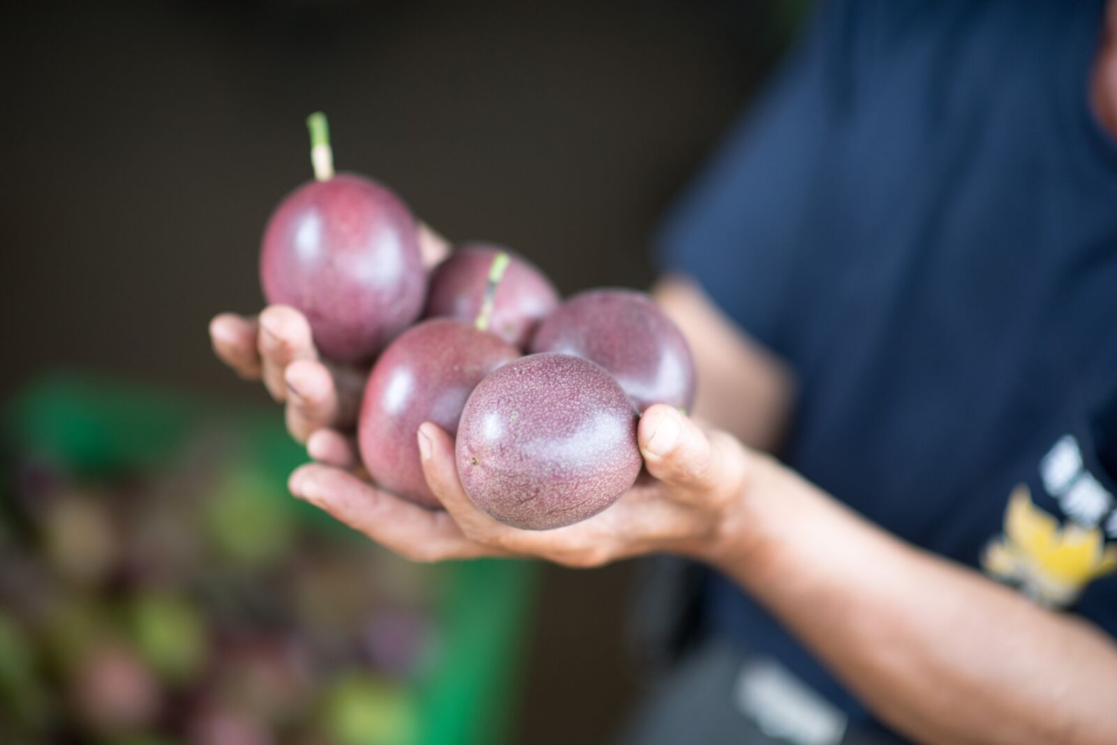 Nikon D750 sample photo. Taiwan, farmer, passion fruit photography