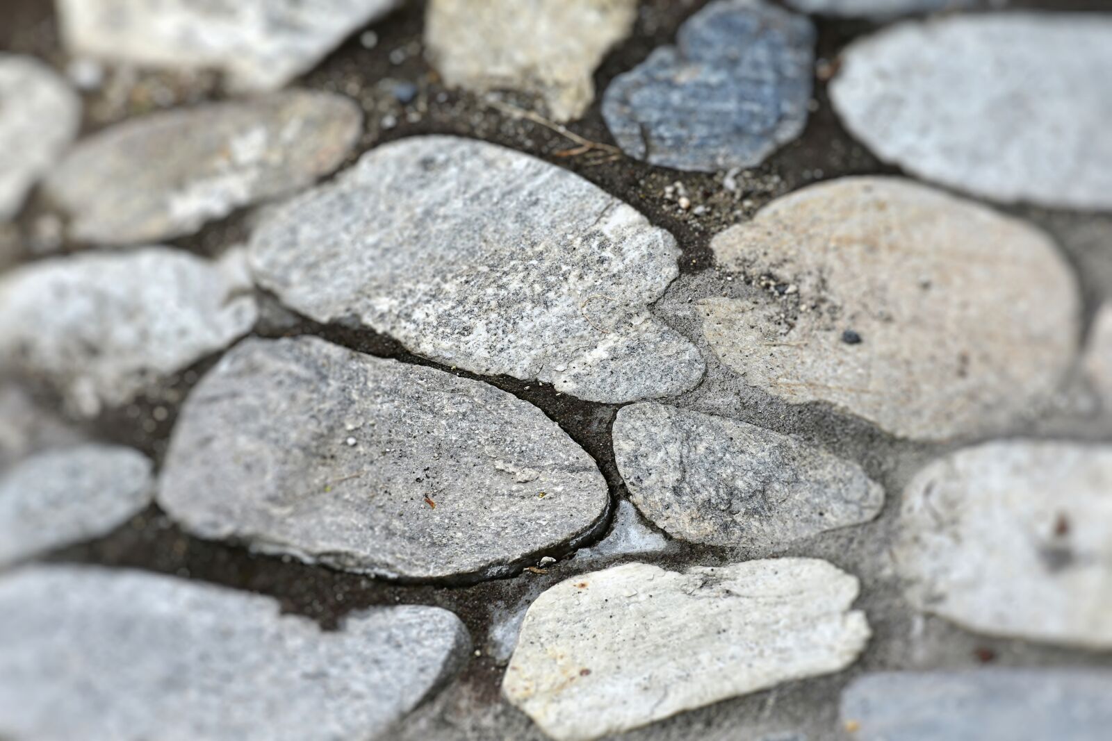 Nikon D7200 sample photo. Stones, slabs, sidewalk photography