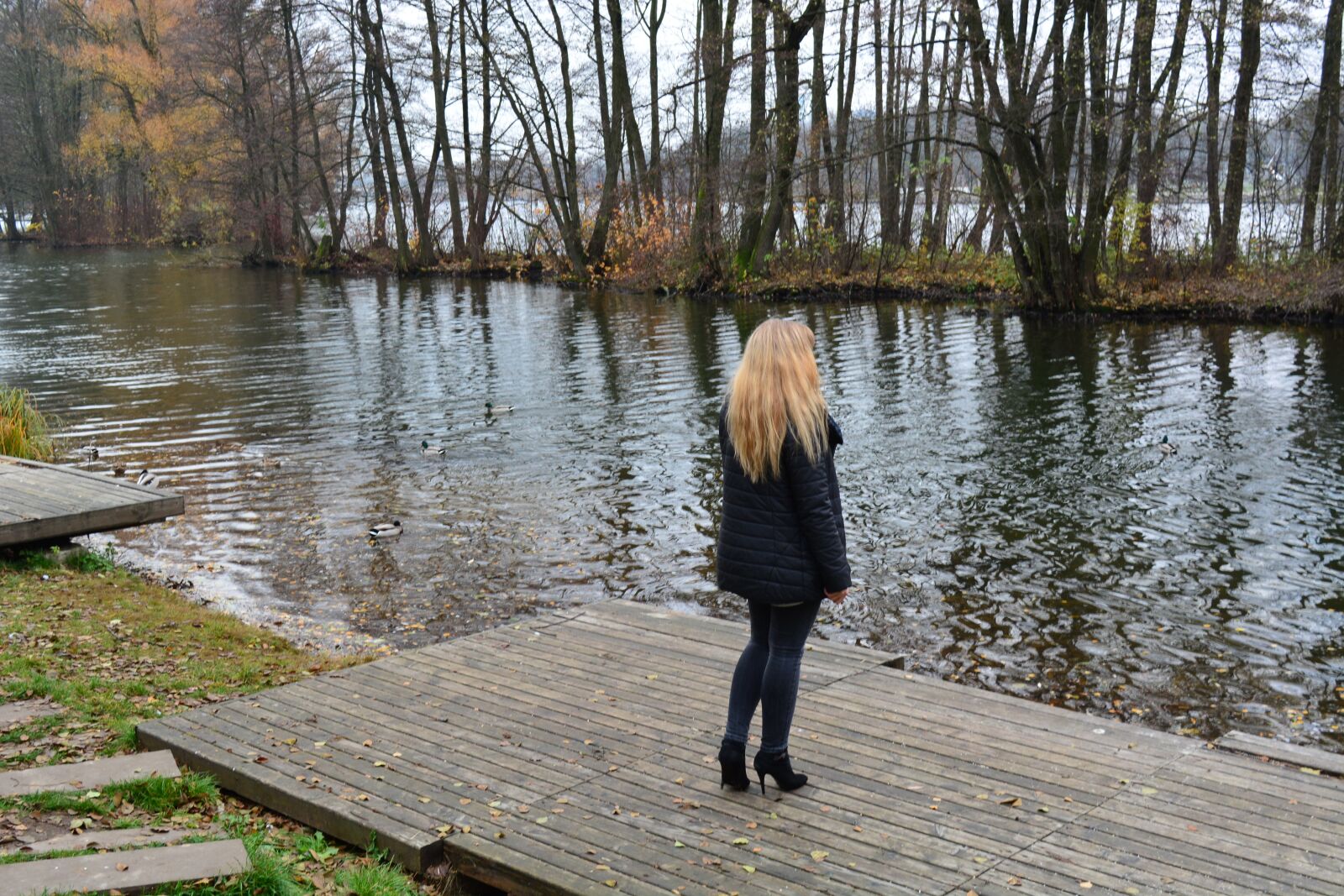Nikon D5200 sample photo. Autumn, park, nature photography