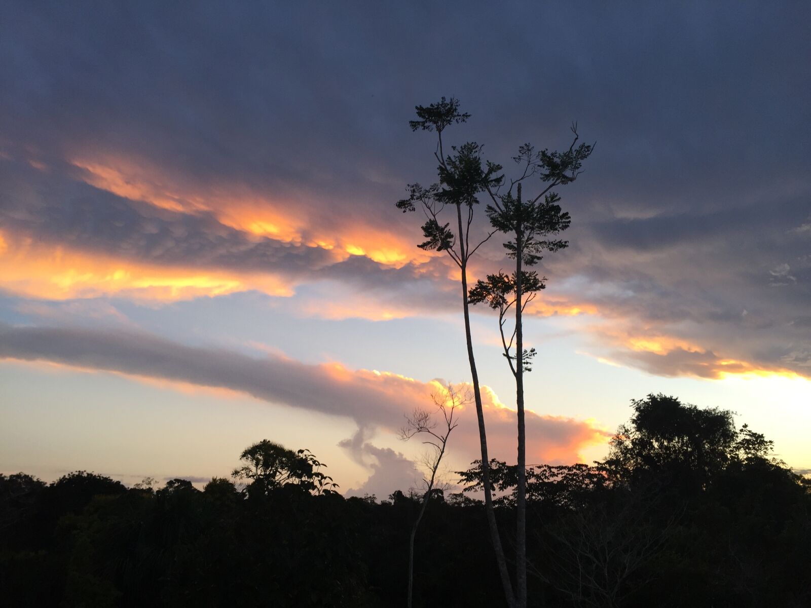 Apple iPhone 6 sample photo. Evening, sky, clouds photography