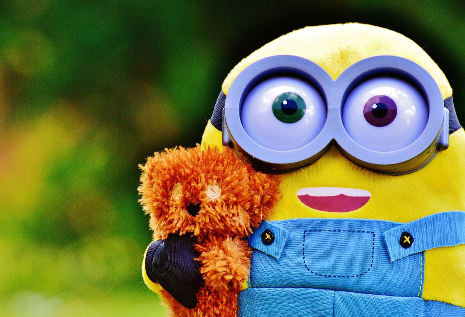 Nikon D3200 sample photo. Minion, funny, figure photography