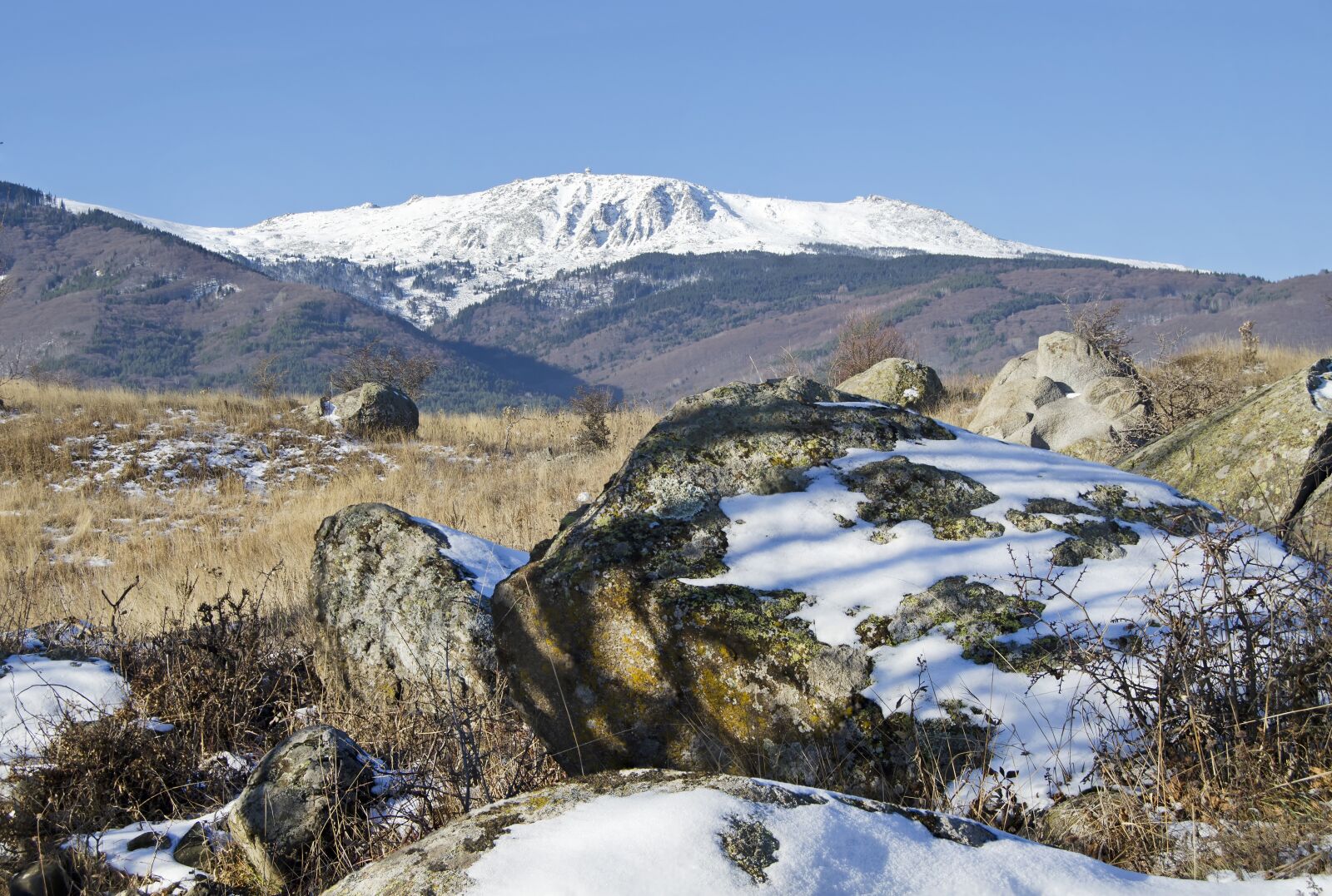 Nikon D5100 sample photo. Snow, rocks, moss photography