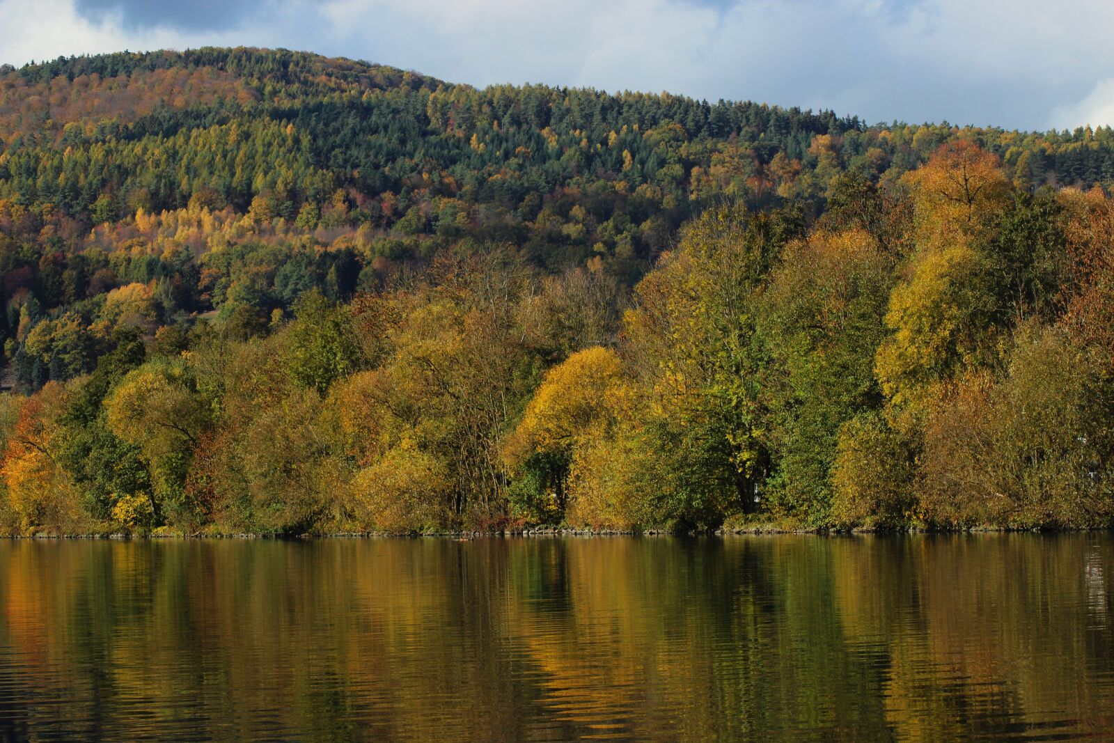Canon EOS 600D (Rebel EOS T3i / EOS Kiss X5) sample photo. Forest, fall, bavaria photography