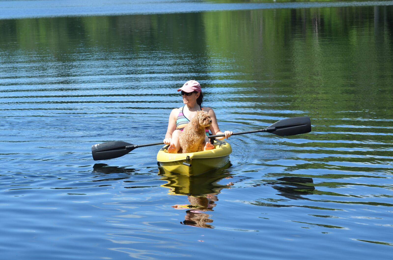 Nikon D7000 sample photo. Canoe, lake, dog photography