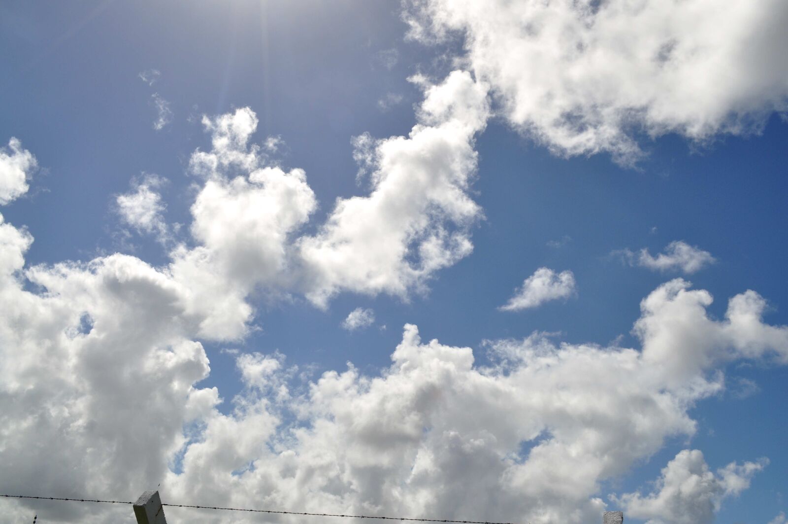 Nikon D5000 sample photo. Sky, look photography