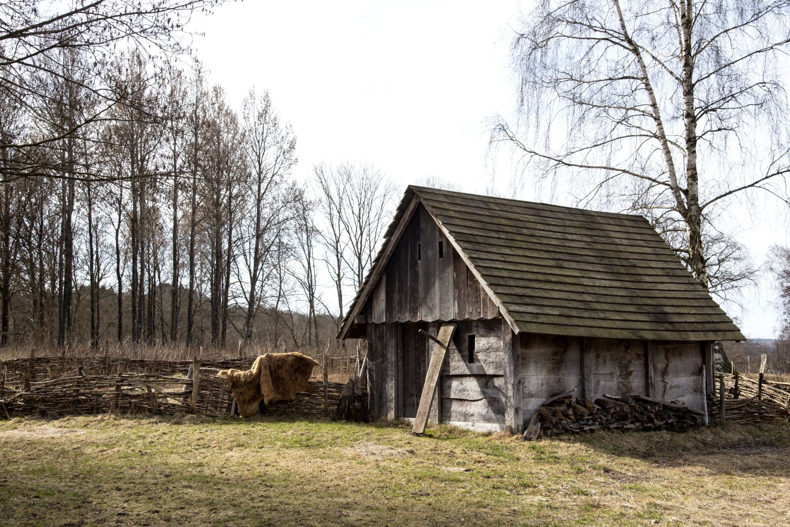 Nikon D750 sample photo. Vikingagård, story, sweden photography