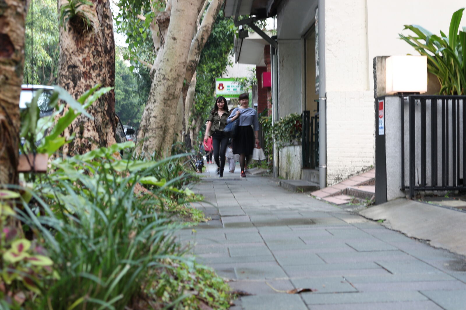 Canon EOS M sample photo
