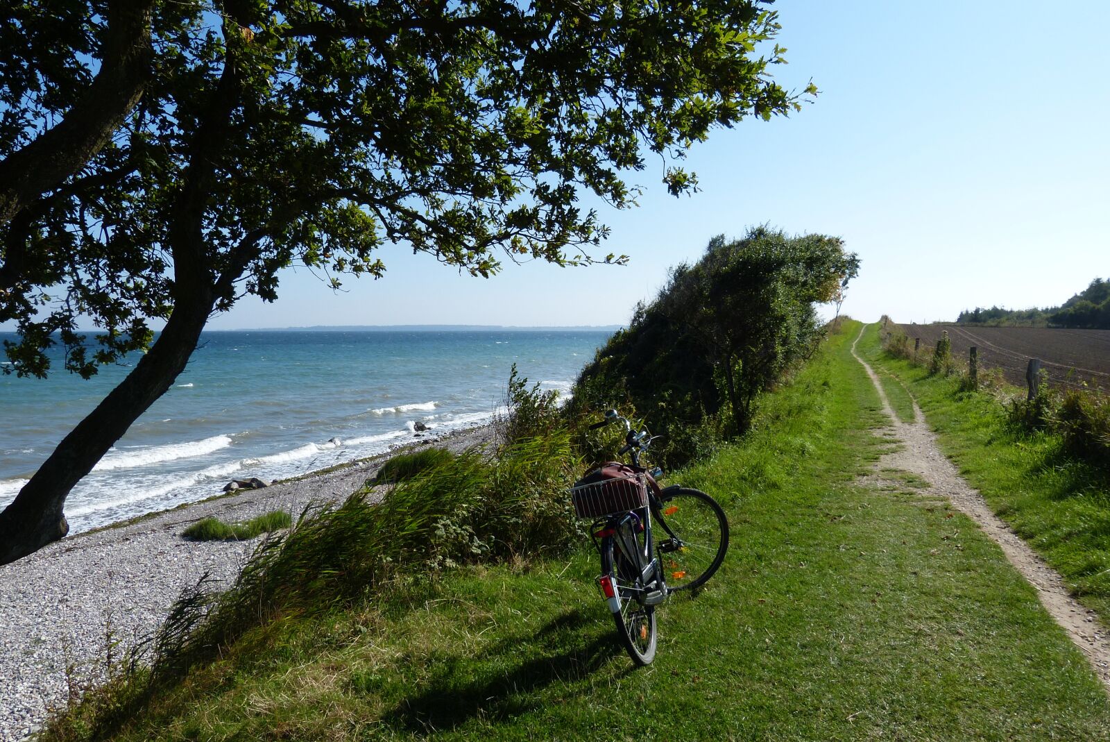 Panasonic Lumix DMC-FZ150 sample photo. Baltic sea, mecklenburg, bike photography