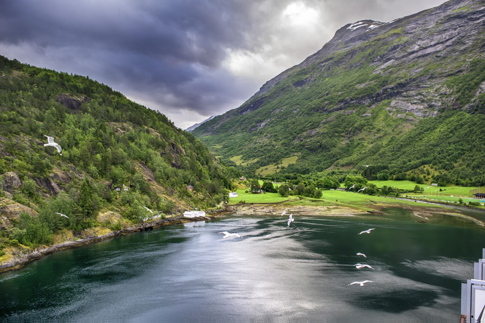 Nikon D3300 sample photo. Fjord, birds, norway photography