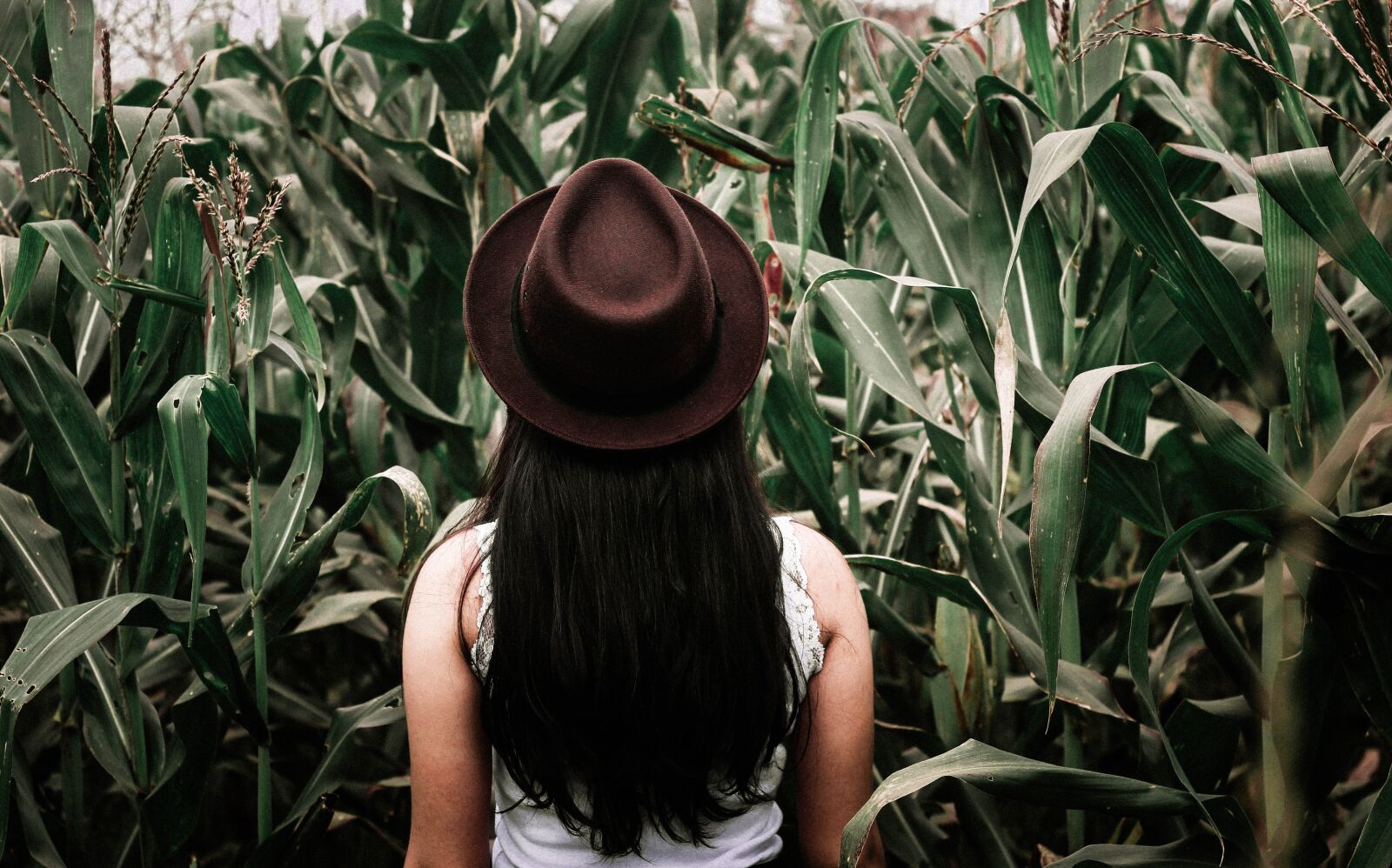 Canon EOS 60D + Canon EF 50mm F1.8 II sample photo. Field, hat, person photography