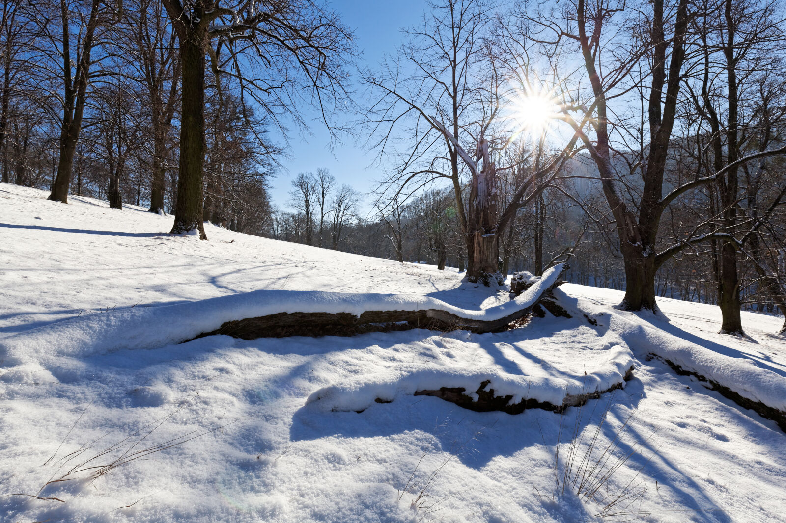 Canon EOS 5D Mark II + Canon EF 16-35mm F4L IS USM sample photo. Flare, hukvaldy, landscape, snow photography