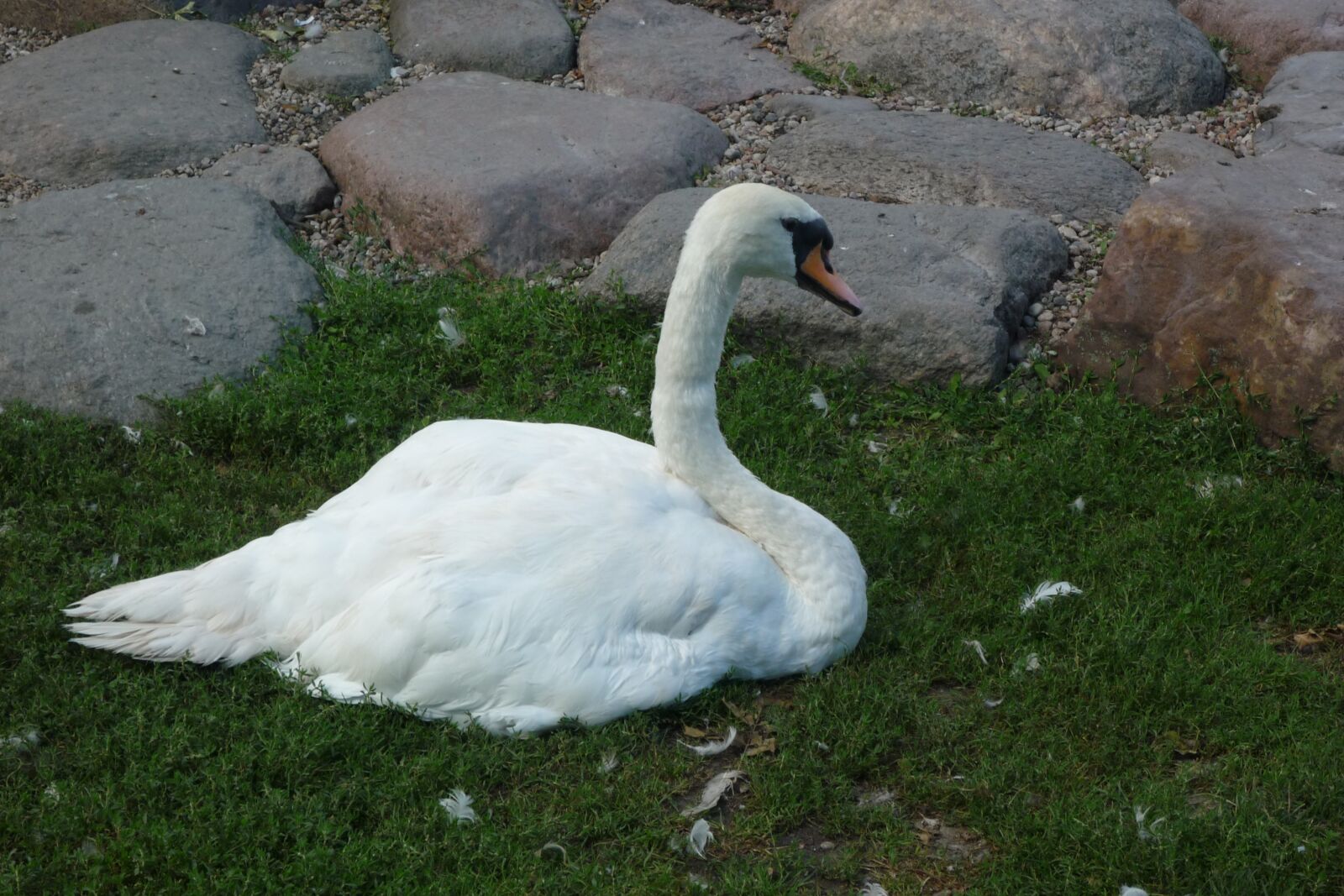 Panasonic DMC-LZ10 sample photo. Ciechocinek, poland, tourism photography