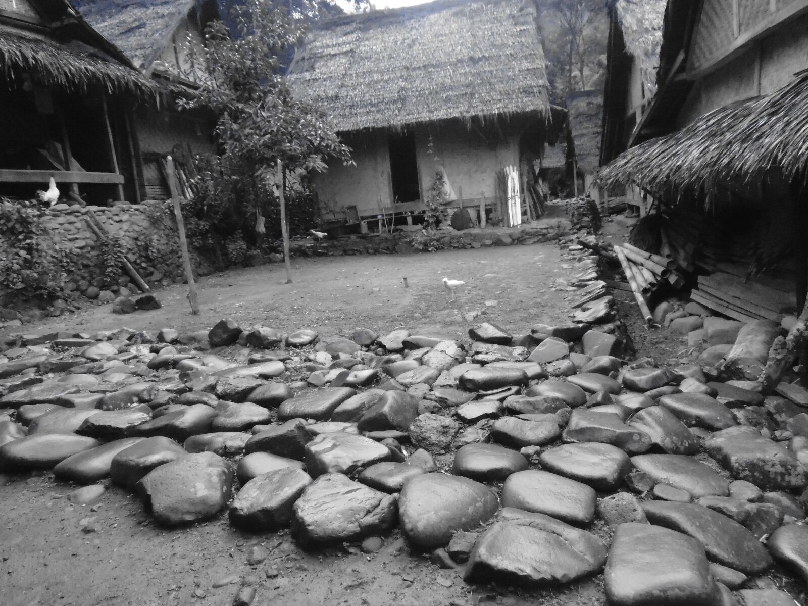 Sony Cyber-shot DSC-H300 sample photo. Baduy, banten, tradisional photography