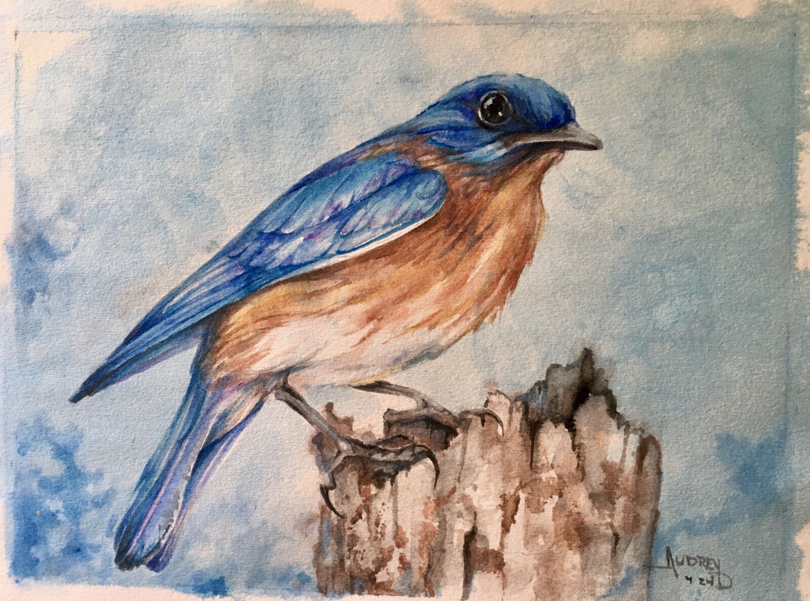 Apple iPhone 6s sample photo. Watercolor, bird, animal photography